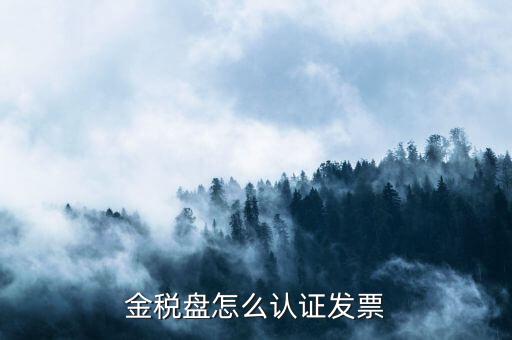 如何用金稅盤認證發(fā)票，金稅盤怎么認證發(fā)票