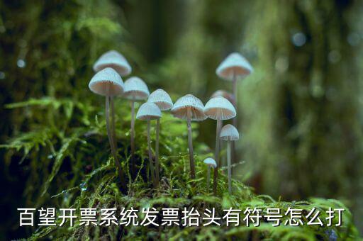 百望開票系統發(fā)票抬頭有符號怎么打
