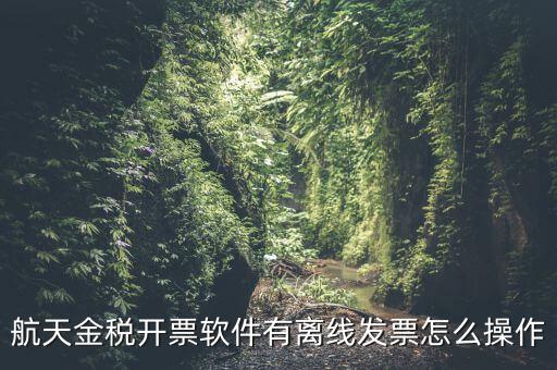 如何設(shè)置離線開(kāi)票，金稅系統(tǒng)開(kāi)票機(jī)怎樣恢復(fù)離線時(shí)限