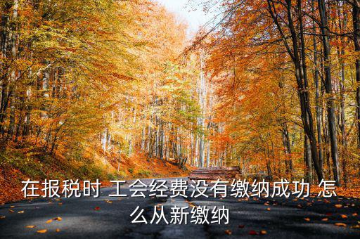 在報(bào)稅時(shí) 工會經(jīng)費(fèi)沒有繳納成功 怎么從新繳納