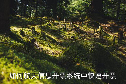 航天信息如何開(kāi)票，怎么在航天信息開(kāi)票軟件開(kāi)紅字發(fā)票