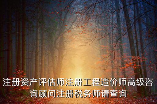 如何查詢稅務(wù)師信息，注冊稅務(wù)師報名時的信息哪里能查到