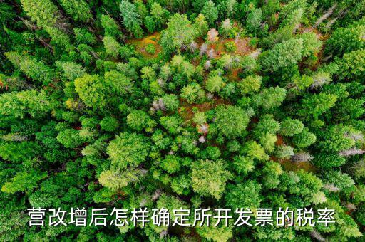 開票時稅率如何確認，發(fā)票的稅是怎么算的是不是數額越大要繳稅的百分比就越大比