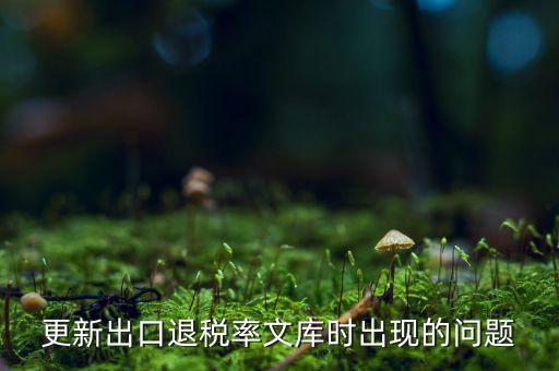 出口退稅文庫(kù)如何更新，請(qǐng)問(wèn)各位出口退稅系統(tǒng)里的代碼庫(kù)怎么更新啊怎么老沒(méi)反應(yīng)的呢