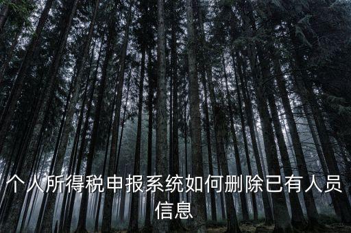 金三系統(tǒng)個稅申報人員如何刪除，如何刪掉個人所得稅人員信息