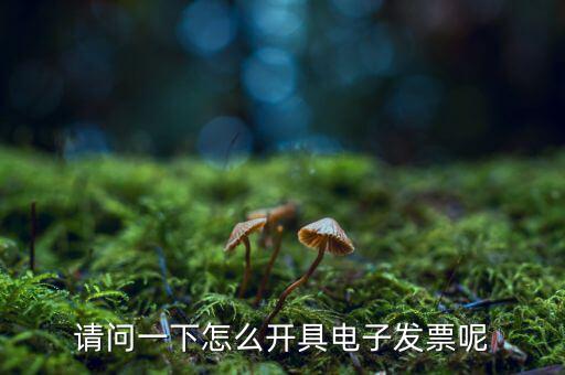 上海如何申領(lǐng)電子發(fā)票，請問一下怎么開具電子發(fā)票呢