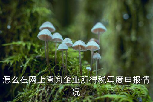 如何查詢企業(yè)個稅申報名單，怎樣查詢公司的所得稅已經(jīng)申報了
