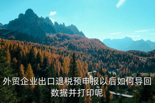 出口退免稅備案如何打印，外貿(mào)企業(yè)出口退稅預(yù)申報(bào)以后如何導(dǎo)回?cái)?shù)據(jù)并打印呢
