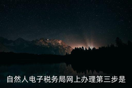 如何趕寫自然人稅管理系統，新個稅系統操作流程
