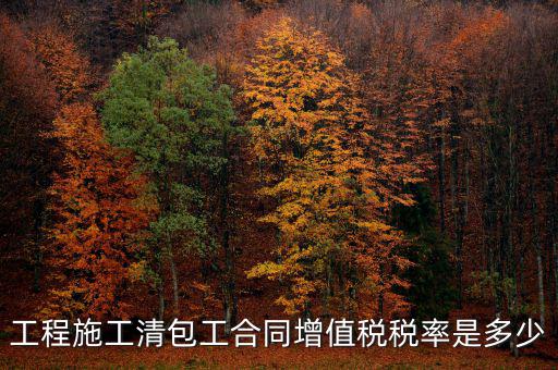 清包工 如何稅務，一般納稅人去國稅說明是清包工怎么寫說明