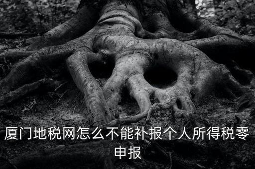 廈門地稅網怎么不能補報個人所得稅零申報