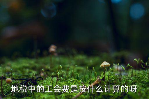 交地稅時的工會經費如何計算方法，地稅中的工會費是按什么計算的呀