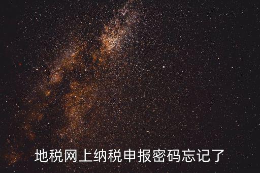 網報如何復制密碼，地稅網上納稅申報密碼忘記了