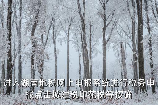 湖南省地稅局個(gè)人如何注冊，湖南地稅網(wǎng)上申報(bào)系統(tǒng)