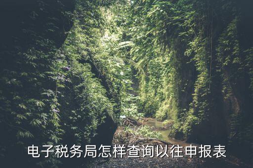 寧波地稅如何查往期申報信息，怎樣查看地稅網(wǎng)上申報記錄