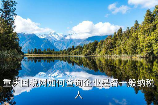 如何查詢?cè)鲋刀愐话慵{稅人資格，重慶國(guó)稅網(wǎng)如何查詢企業(yè)是否一般納稅人