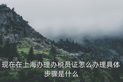 如何成為辦稅員，成為稅務(wù)人員的基本要求是什么