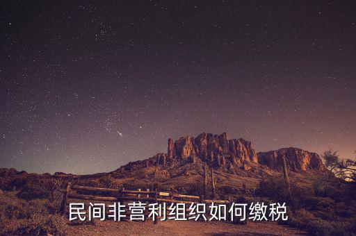非營利組織如何納稅，民間非營利組織如何繳稅
