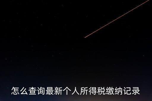 如何查稅收記錄，怎么查詢最新個人所得稅繳納記錄