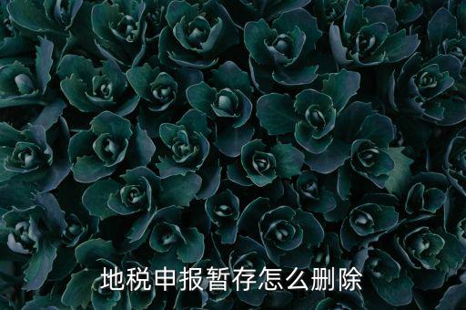 地稅的附加稅如何刪除申報記錄，地稅報表報錯怎樣刪除