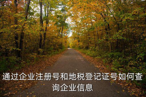 山東 如何查企業(yè)稅務(wù)信息，通過(guò)企業(yè)注冊(cè)號(hào)和地稅登記證號(hào)如何查詢企業(yè)信息