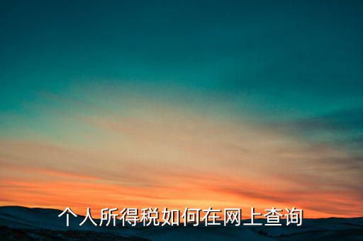 天津如何查個(gè)人所得稅，個(gè)人所得稅如何在網(wǎng)上查詢