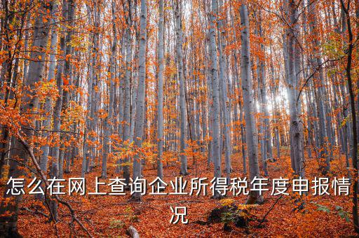 企業(yè)稅務(wù)信息如何查詢系統(tǒng)，通過(guò)企業(yè)注冊(cè)號(hào)和地稅登記證號(hào)如何查詢企業(yè)信息