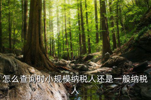 如何查詢成為納稅人時(shí)間，怎么查詢時(shí)小規(guī)模納稅人還是一般納稅人