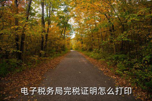 福建省網(wǎng)上稅務局如何打印，電子稅務局完稅證明怎么打印