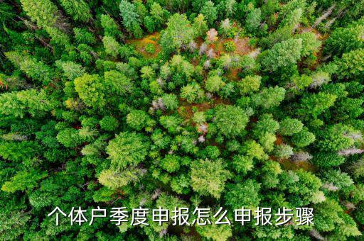 個體戶季度申報(bào)怎么申報(bào)步驟
