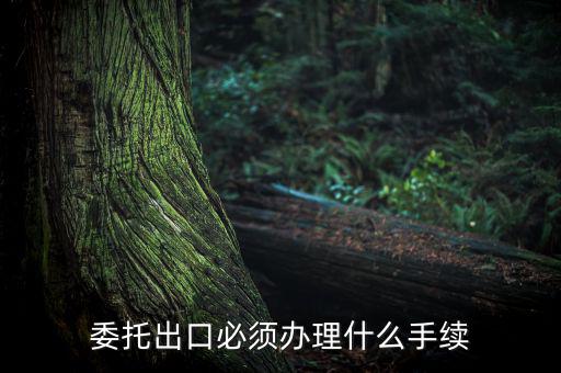 如何開具代理出口貨物證明，代理公司在當(dāng)?shù)亻_具代理出口貨物證明 請問我公司如何