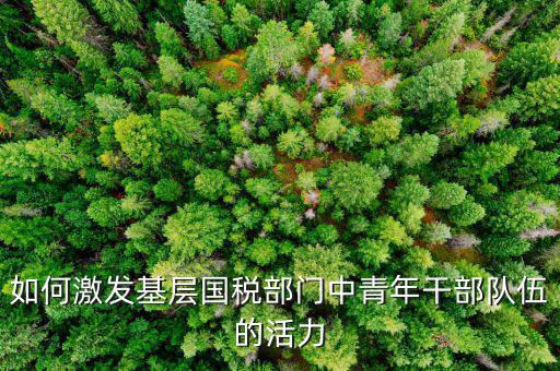 稅務(wù)如何激發(fā)干部活力，如何激發(fā)稅務(wù)干部的創(chuàng)新積極性