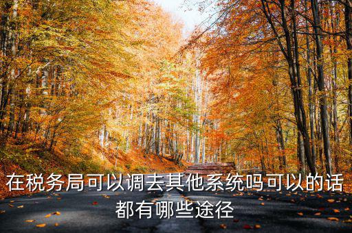 國(guó)稅系統(tǒng)如何調(diào)出，其他公務(wù)員怎么調(diào)稅務(wù)系統(tǒng)