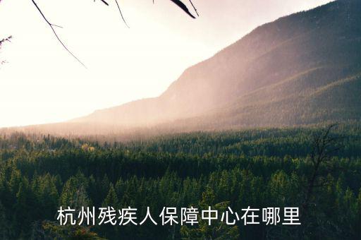 杭州市殘保證如何申請(qǐng)，杭州殘疾人保障中心在哪里