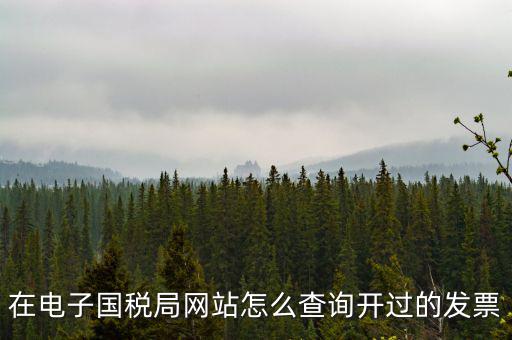 在電子國稅局網(wǎng)站怎么查詢開過的發(fā)票