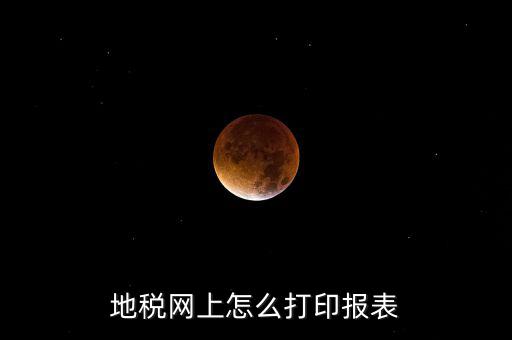 地稅網上怎么打印報表