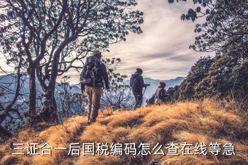 三證合一后國(guó)稅編碼怎么查在線等急