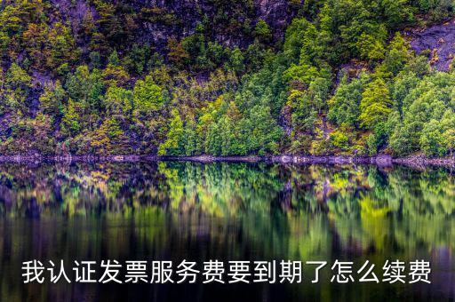我認證發(fā)票服務費要到期了怎么續(xù)費