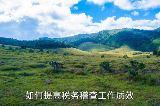 如何提高國(guó)稅稽查工作質(zhì)效，如何提高稅務(wù)稽查工作質(zhì)效