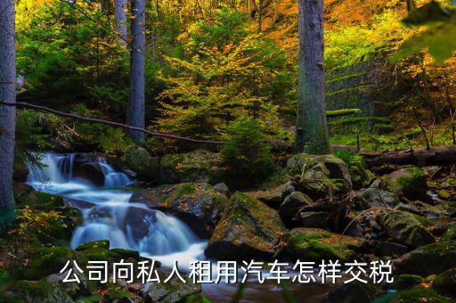 個(gè)人租賃車(chē)輛如何交稅嗎，租個(gè)人的車(chē)輛應(yīng)該繳納哪幾種稅并且稅率是多少