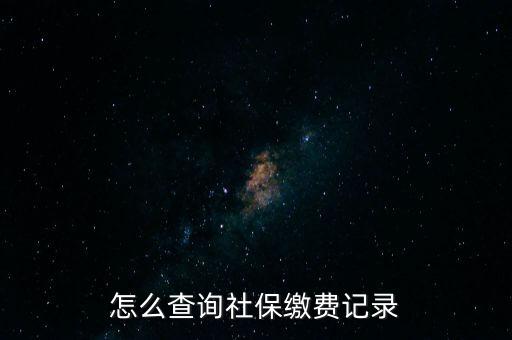 如何在地稅網(wǎng)繳納社保查詢，單位交了社保費(fèi)在地稅網(wǎng)怎么查詢