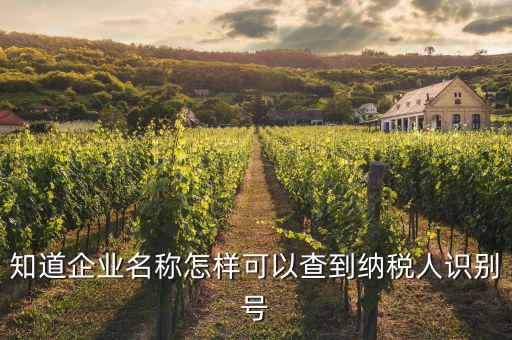 知道企業(yè)名稱怎樣可以查到納稅人識(shí)別號