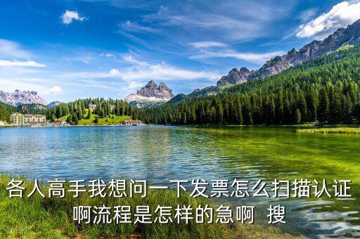 如何掃描認(rèn)證發(fā)票，各人高手我想問(wèn)一下發(fā)票怎么掃描認(rèn)證啊流程是怎樣的急啊  搜