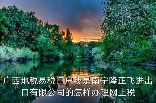 廣西地稅易稅門戶我是南寧隆正飛進出口有限公司的怎樣辦理網(wǎng)上稅