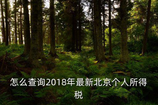 北京如何查詢個(gè)稅完稅證明，怎么查詢2018年最新北京個(gè)人所得稅