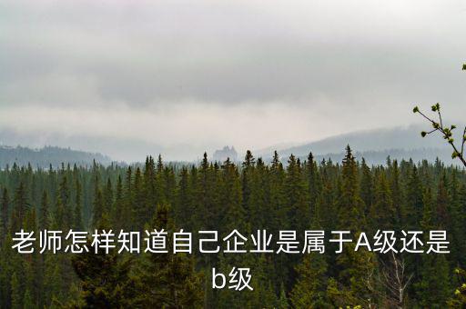 企業(yè)級別如何查，企業(yè)資質(zhì)等級怎樣查