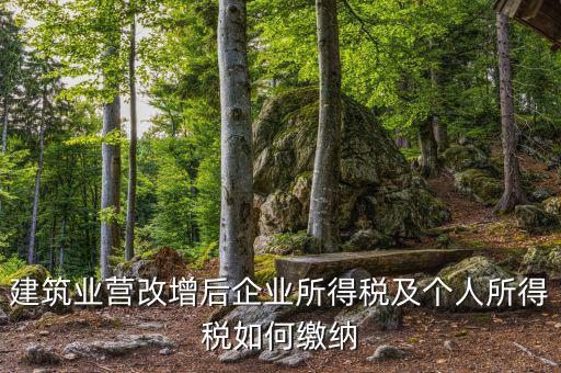營改增后企業(yè)所得稅如何繳納，營改增后施工企業(yè)所得稅怎樣繳