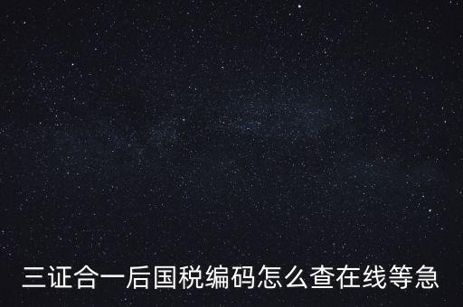 如何查詢個(gè)人稅務(wù)編號(hào)查詢系統(tǒng)，請(qǐng)問(wèn)在哪里可以查到納稅人編碼