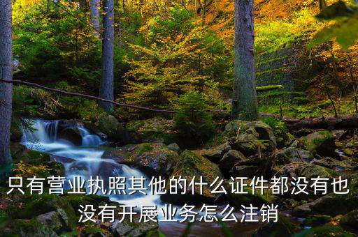 只有營(yíng)業(yè)執(zhí)照其他的什么證件都沒(méi)有也沒(méi)有開(kāi)展業(yè)務(wù)怎么注銷(xiāo)