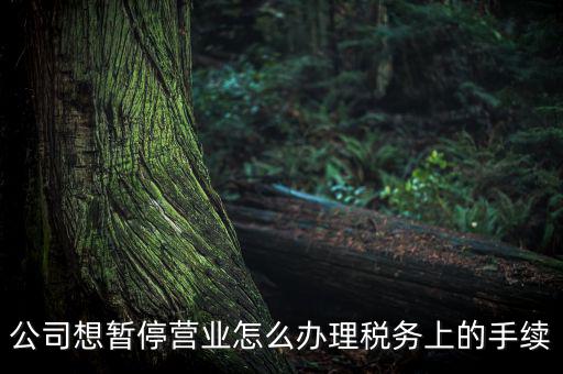 北京市如何辦理單位稅務(wù)暫停，企業(yè)暫停營(yíng)業(yè)怎么辦理